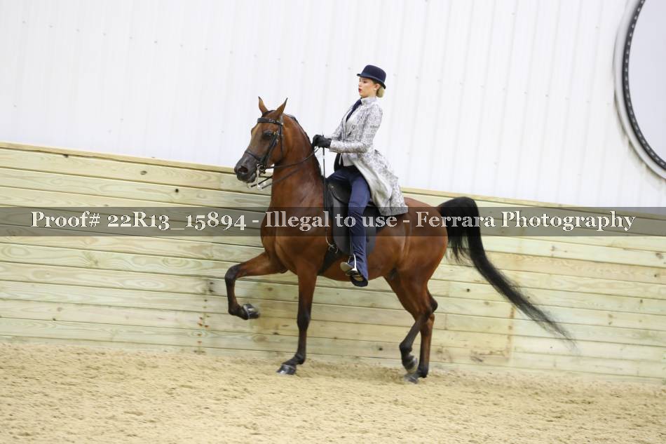 Proof 22R13_15894