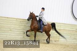 22R13_15894 proof