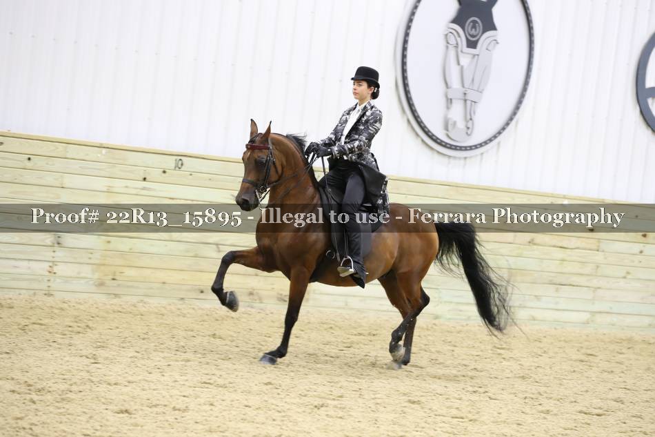 Proof 22R13_15895