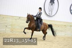 22R13_15895 proof