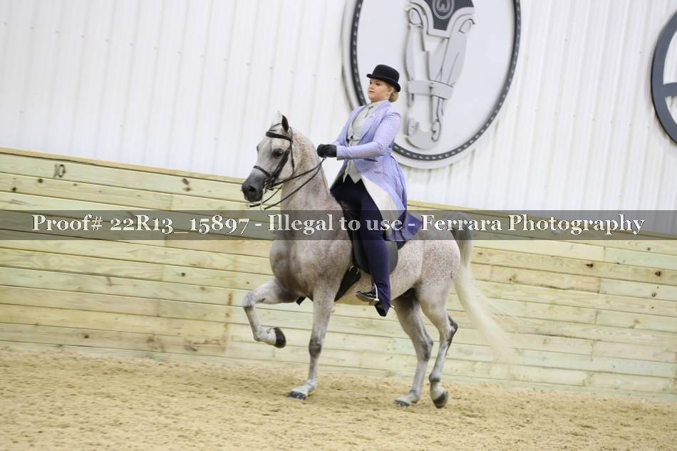 Proof 22R13_15897