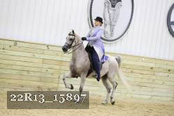 22R13_15897 proof