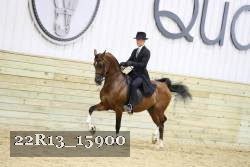 22R13_15900 proof