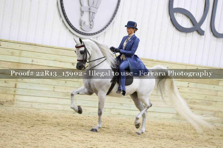 Proof 22R13_15902