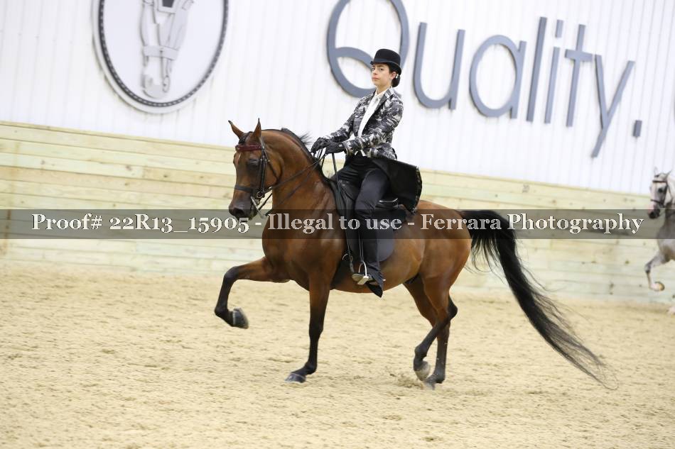 Proof 22R13_15905