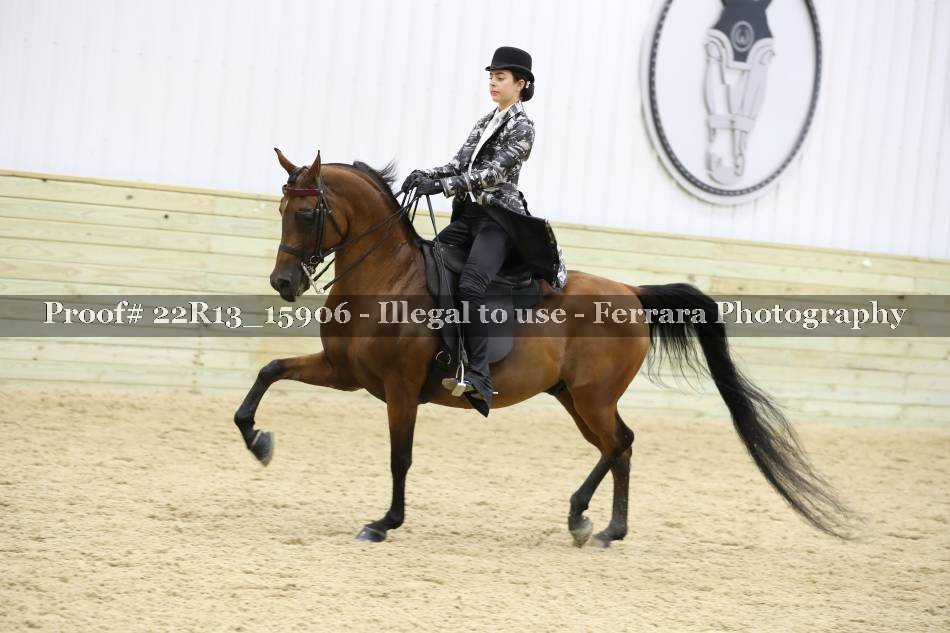 Proof 22R13_15906