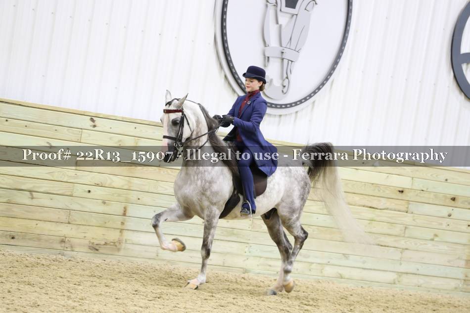 Proof 22R13_15907