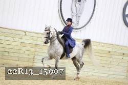 22R13_15907 proof