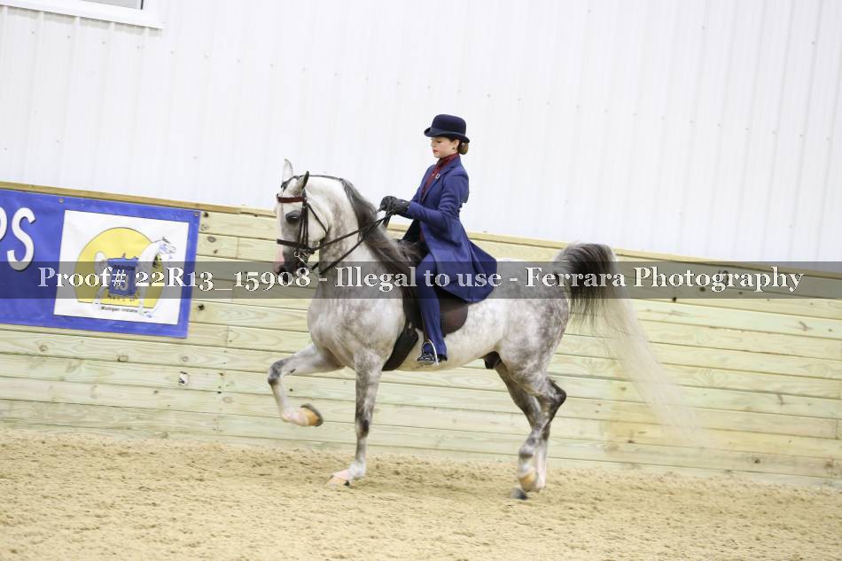 Proof 22R13_15908