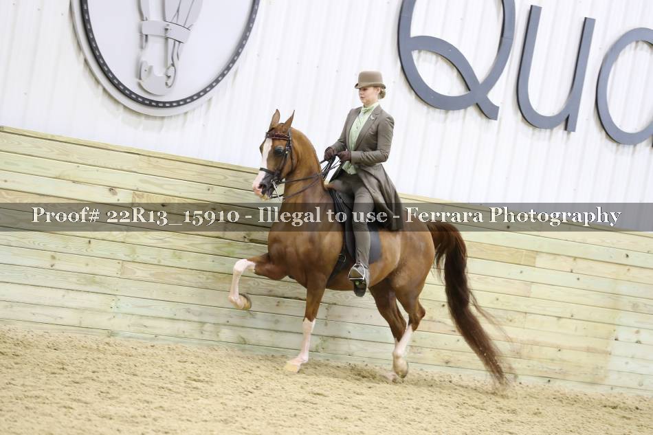 Proof 22R13_15910