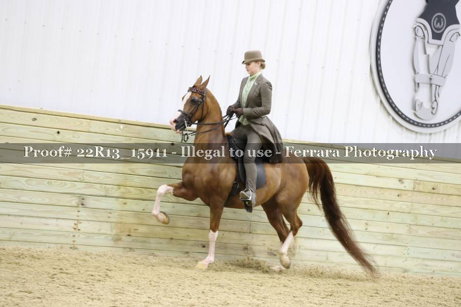 Proof 22R13_15911