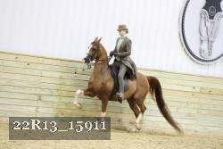 22R13_15911 proof