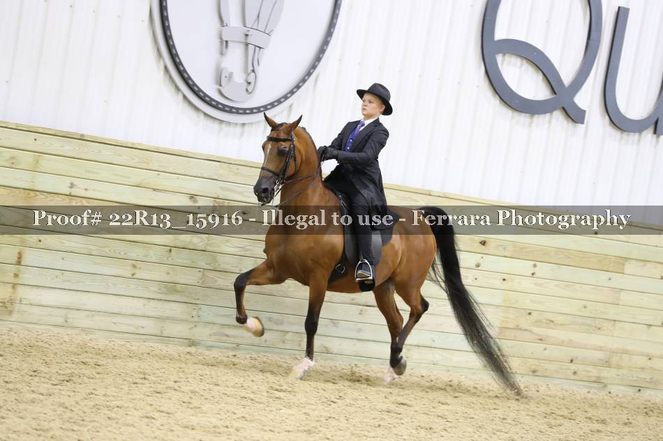 Proof 22R13_15916