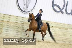 22R13_15916 proof