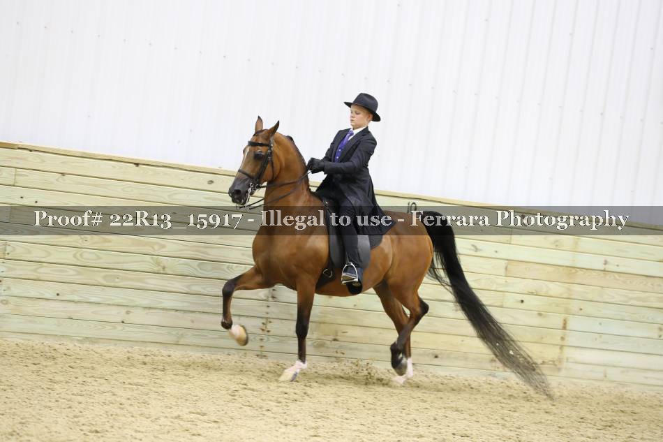 Proof 22R13_15917