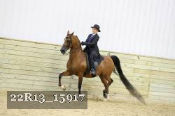 22R13_15917 proof