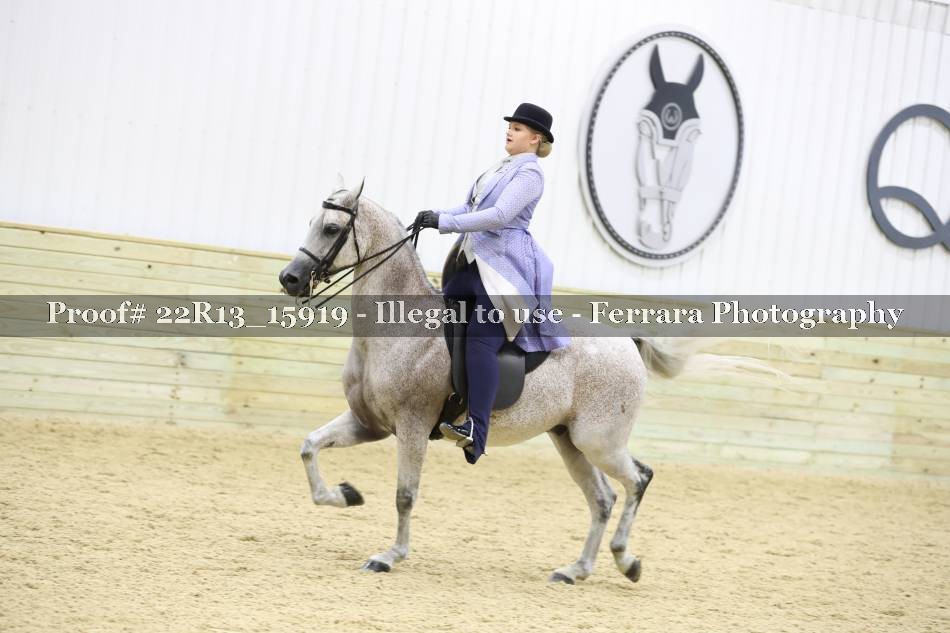 Proof 22R13_15919