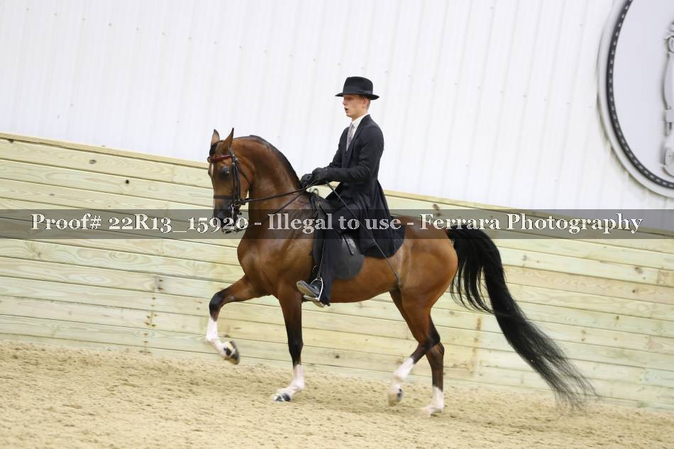Proof 22R13_15920