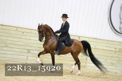 22R13_15920 proof