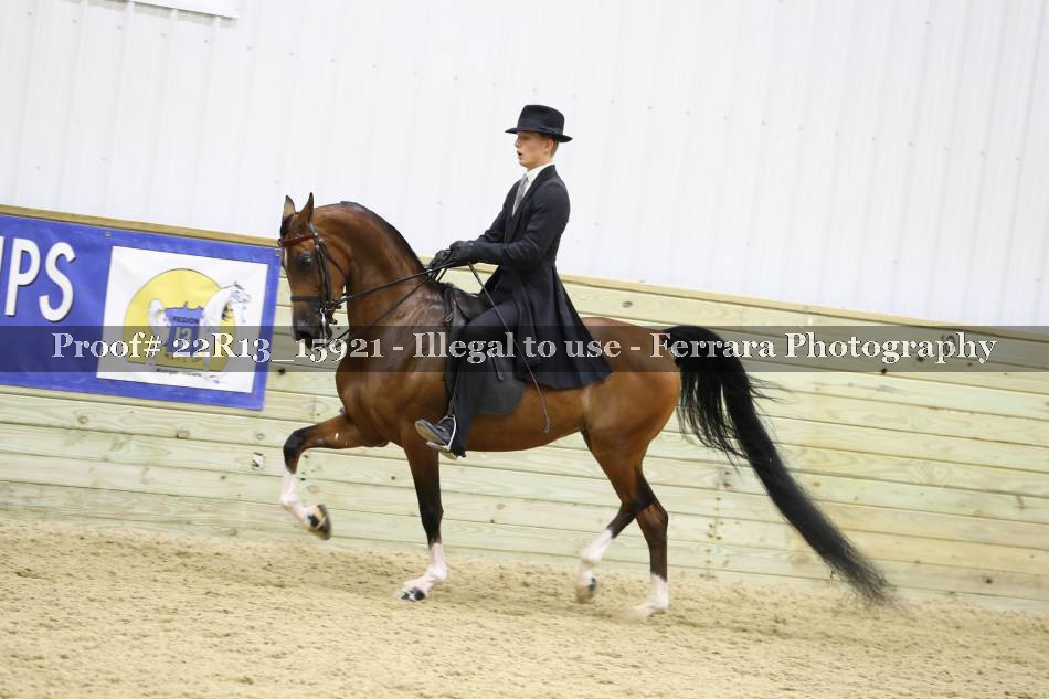 Proof 22R13_15921