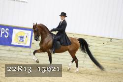 22R13_15921 proof