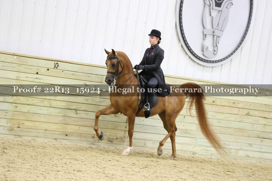 Proof 22R13_15924