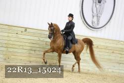 22R13_15924 proof