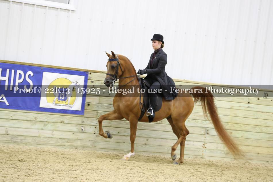 Proof 22R13_15925