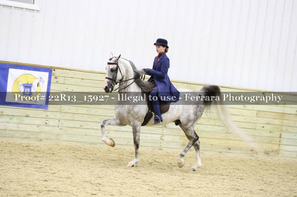 Proof 22R13_15927