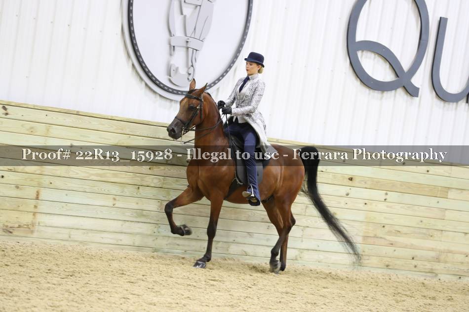 Proof 22R13_15928