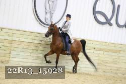 22R13_15928 proof