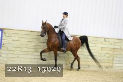 22R13_15929 proof