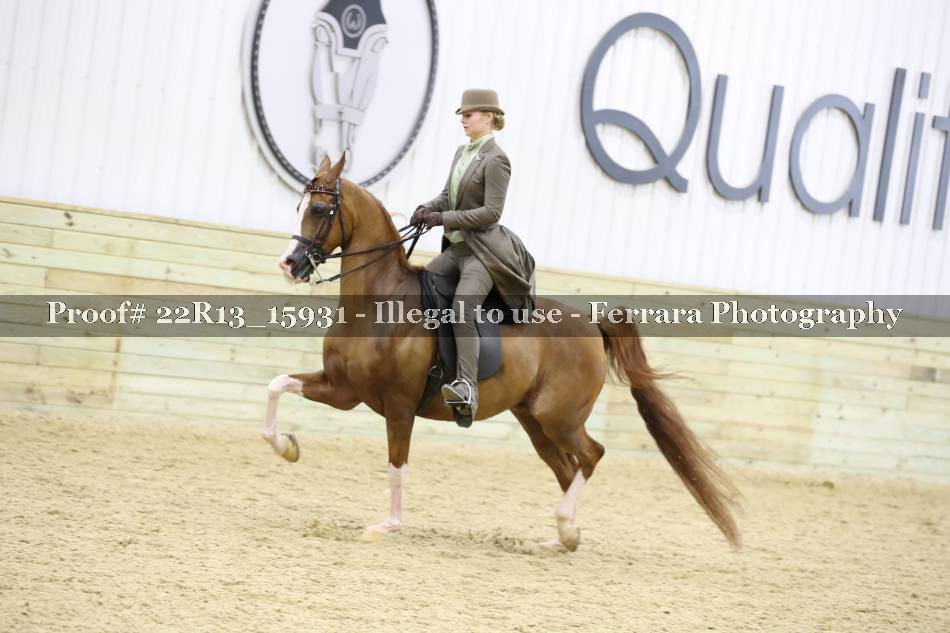 Proof 22R13_15931