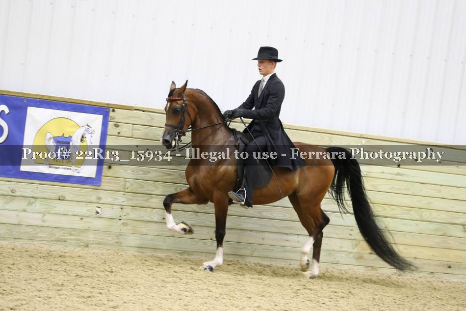 Proof 22R13_15934
