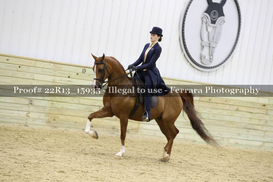 Proof 22R13_15935