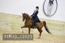 22R13_15935 proof