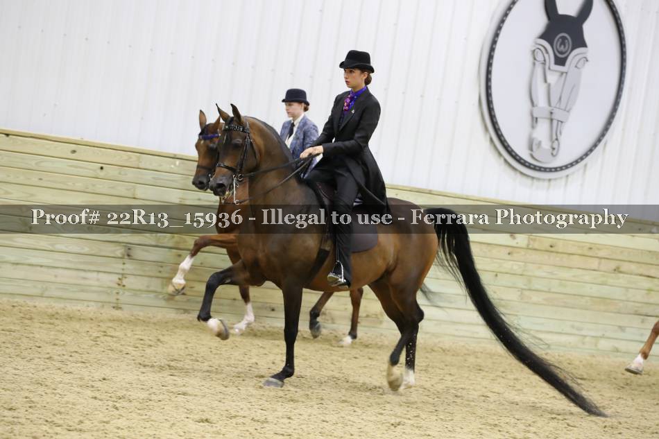 Proof 22R13_15936