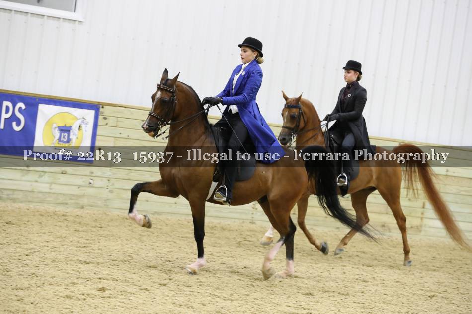 Proof 22R13_15937