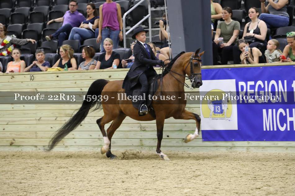 Proof 22R13_15939