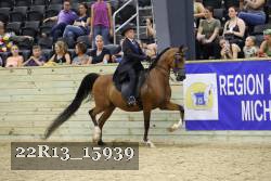 22R13_15939 proof