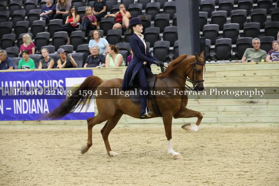 Proof 22R13_15941