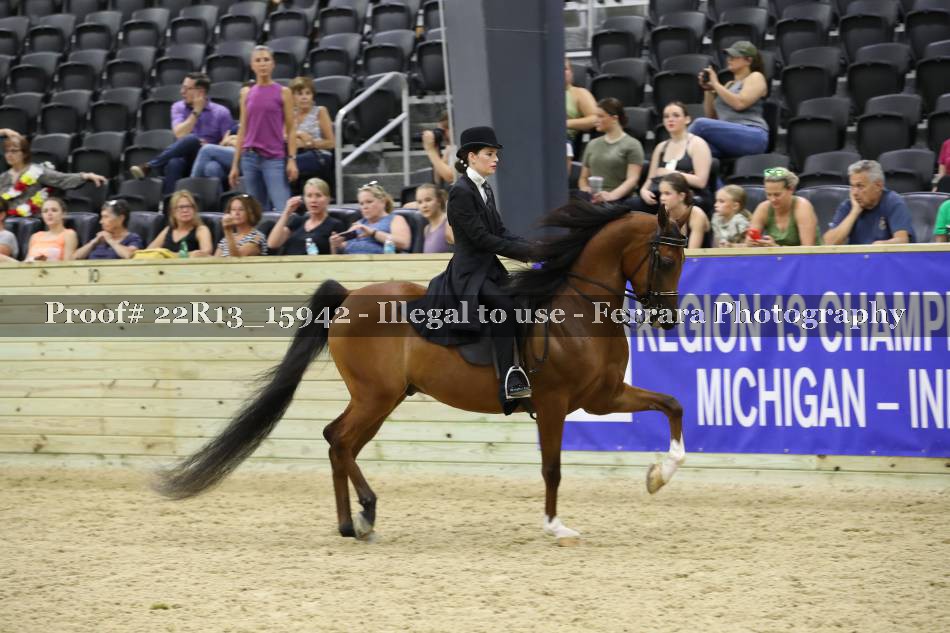 Proof 22R13_15942