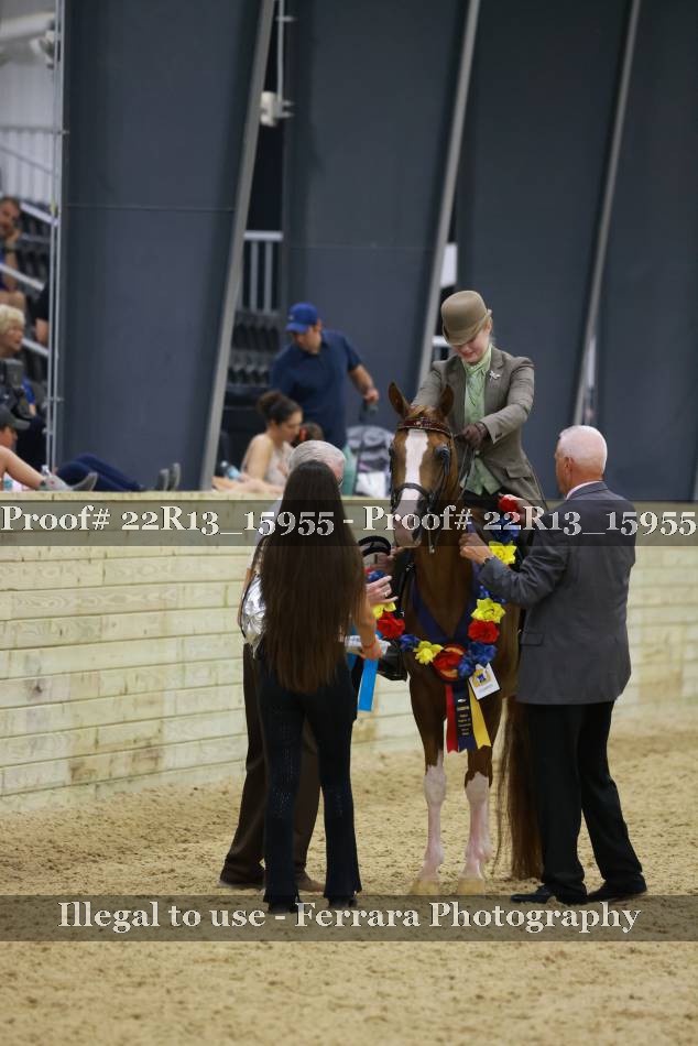 Proof 22R13_15955