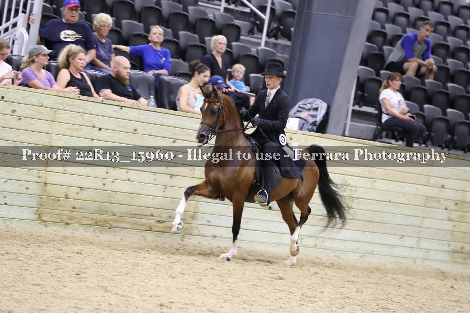 Proof 22R13_15960