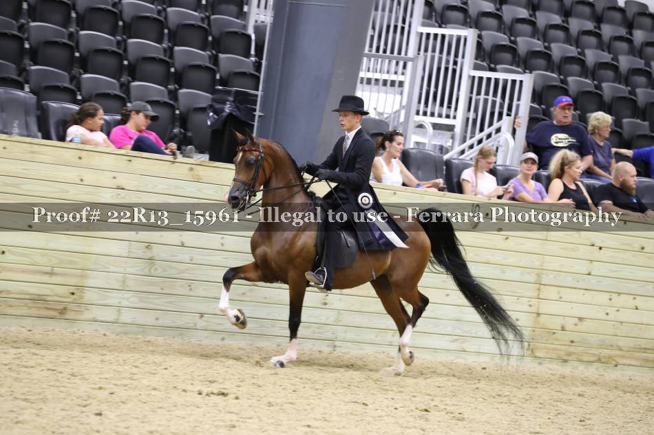 Proof 22R13_15961