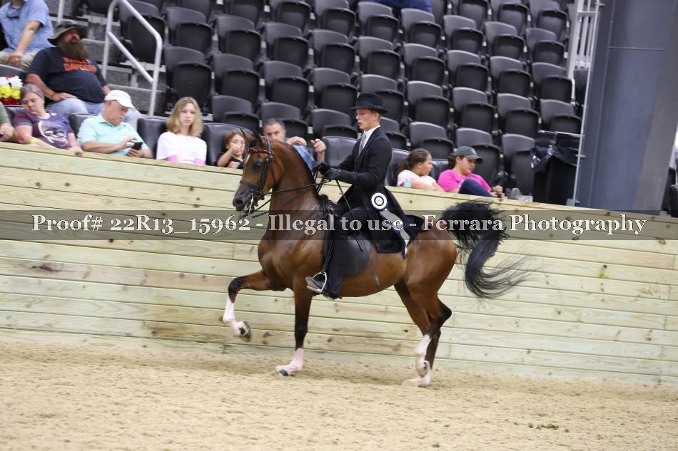 Proof 22R13_15962