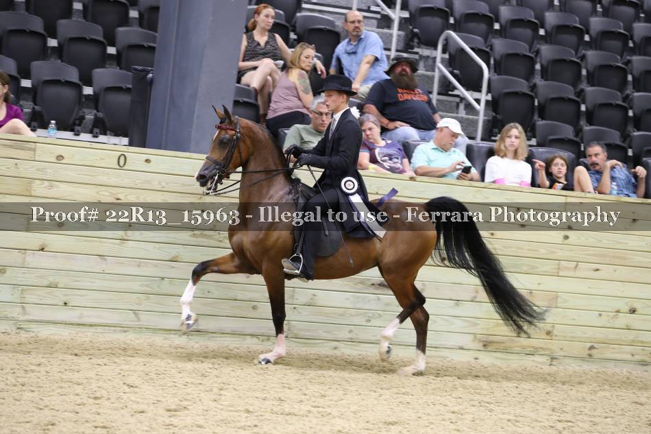 Proof 22R13_15963