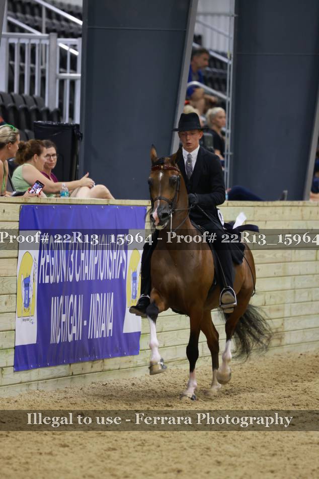 Proof 22R13_15964