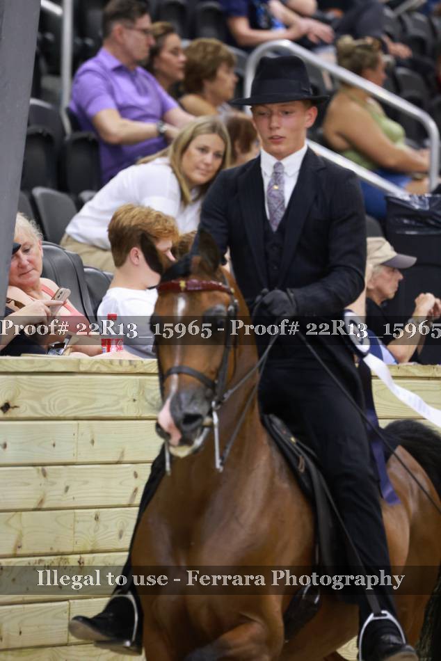 Proof 22R13_15965
