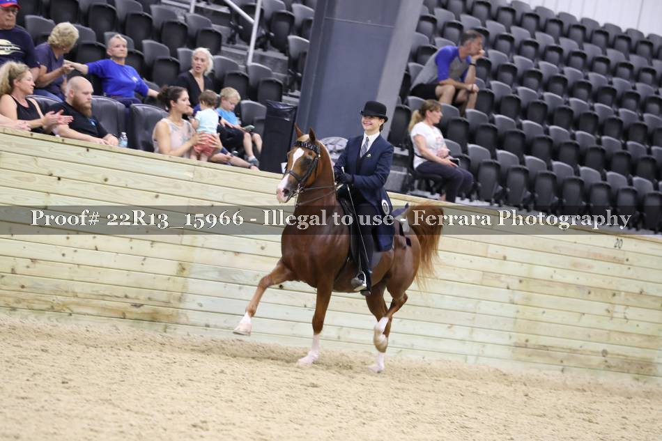 Proof 22R13_15966